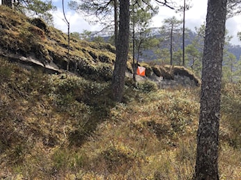 Nærløp Sundsdalen 10.5 - resultat